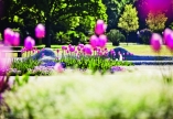 Unternehmen Sie einen Ausflug nach Bad Füssing und schlendern Sie durch den blühenden Kurpark.