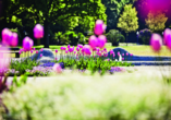 Unternehmen Sie einen Ausflug nach Bad Füssing und schlendern Sie durch den blühenden Kurpark.