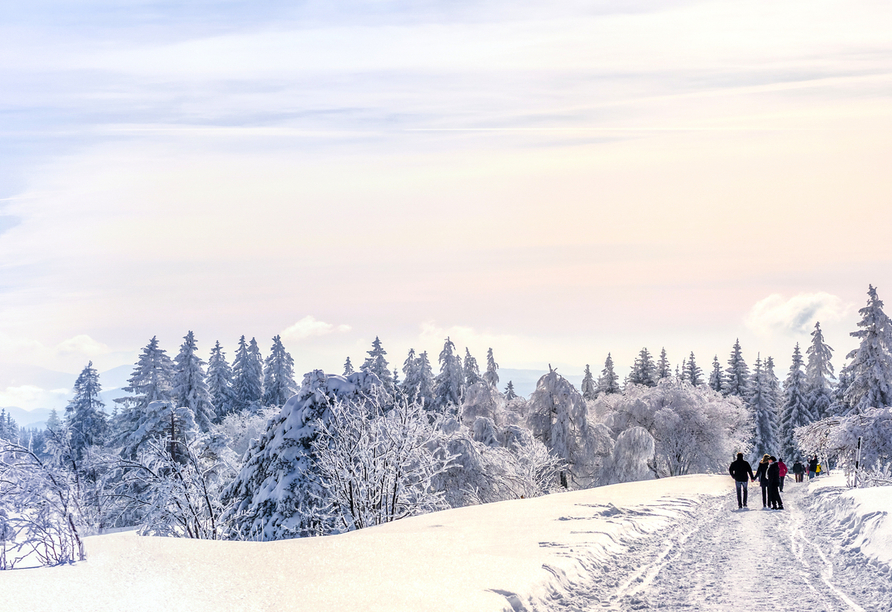 Der Schwarzwald ist ein traumhaftes Urlaubsziel.