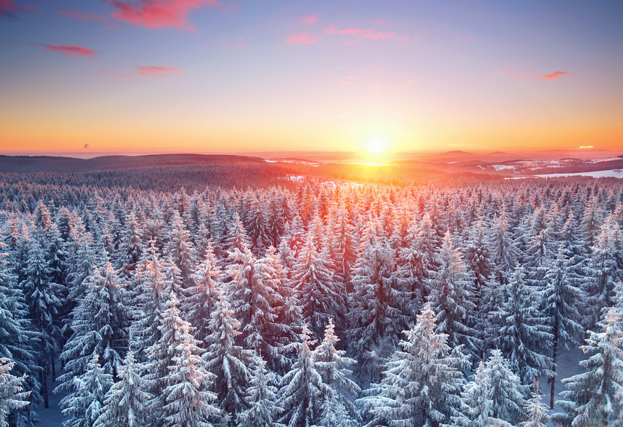 Im Winter verwandelt sich der Thüringer Wald in ein weißes Wunderland.