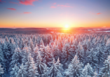 Im Winter verwandelt sich der Thüringer Wald in ein weißes Wunderland.