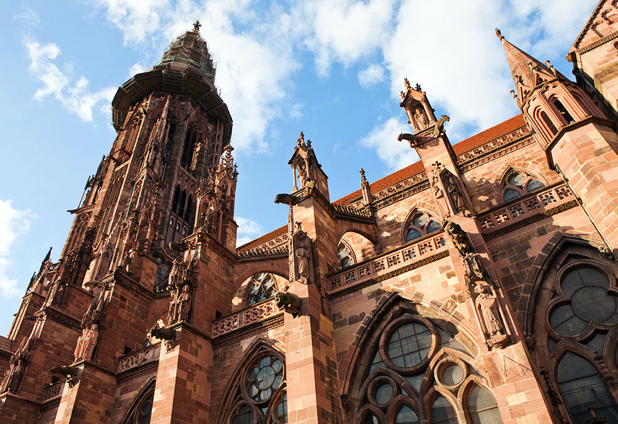 Besichtigen Sie das Wahrzeichen der Schwarzwald-Hauptstadt Freiburg, den Münster.