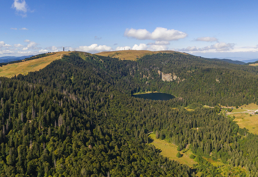Wandern Sie durch den schönen Schwarzwald bis zum Feldberg.