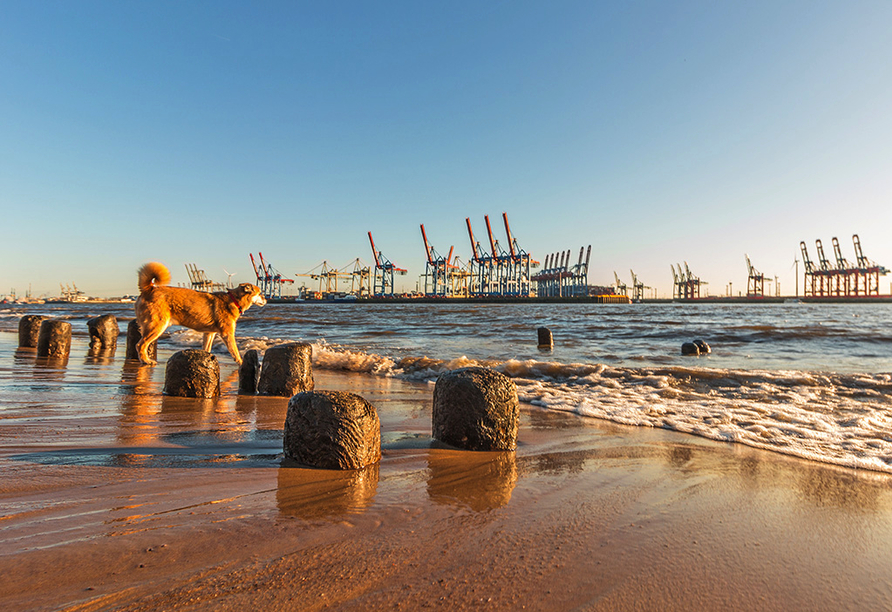 Spüren Sie die frische Meeresluft und erleben Sie entspannte Momente am Elbstrand.