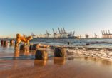 Spüren Sie die frische Meeresluft und erleben Sie entspannte Momente am Elbstrand.