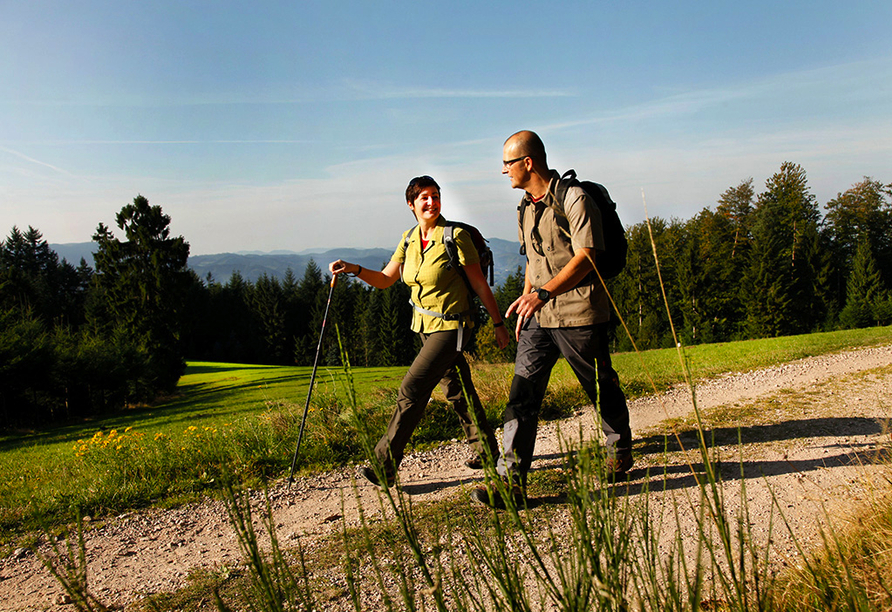 Freuen Sie sich auf wunderschöne Wanderrouten im Schwarzwald!