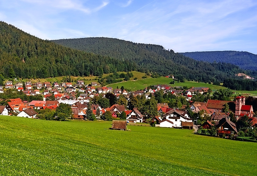 Baiersbronn bietet eine einmalige Kulturlandschaft.