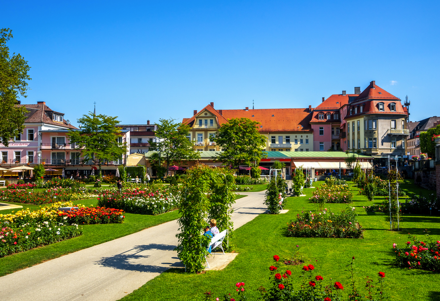 Im Rosengarten von Bad Kissingen können Sie ganze 150 Rosenarten bestaunen.
