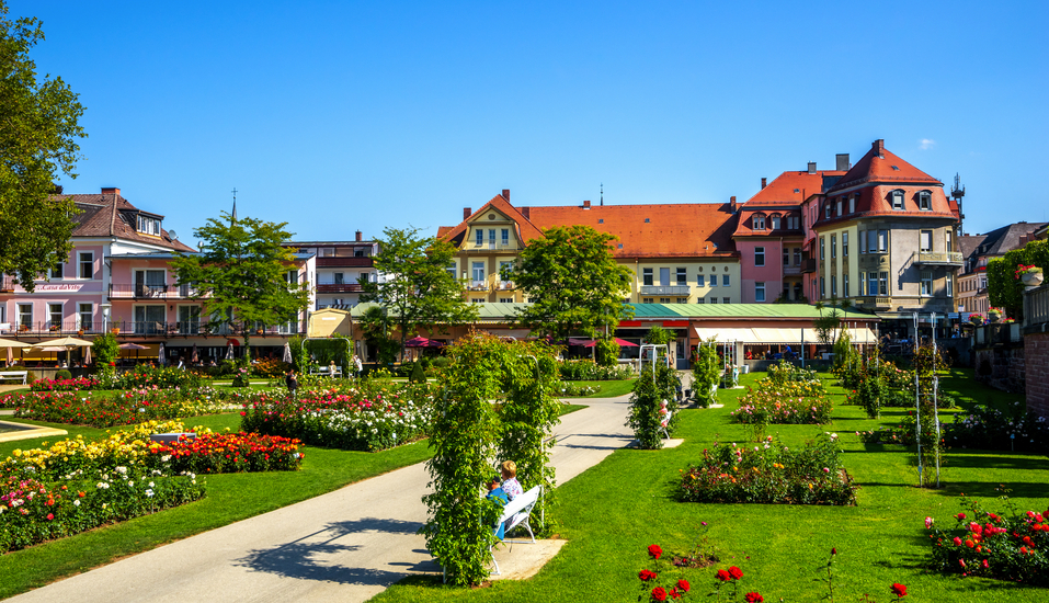 Im Rosengarten von Bad Kissingen können Sie ganze 150 Rosenarten bestaunen.