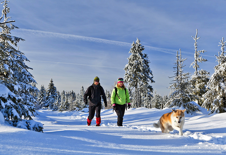 Auch oder gerade im Winter ist die Harzer Landschaft traumhaft schön.
