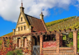 Heilbronn, die älteste Weinstadt Württembergs, ist eine Stadt für Genießer.
