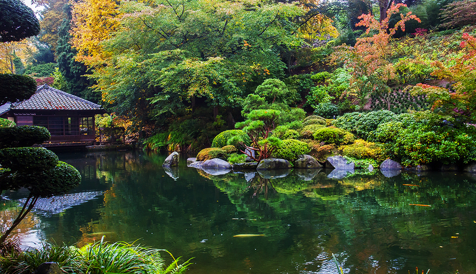 Vergessen Sie den Alltag bei einem Spaziergang durch den Japanischen Garten in Kaiserslautern. 
