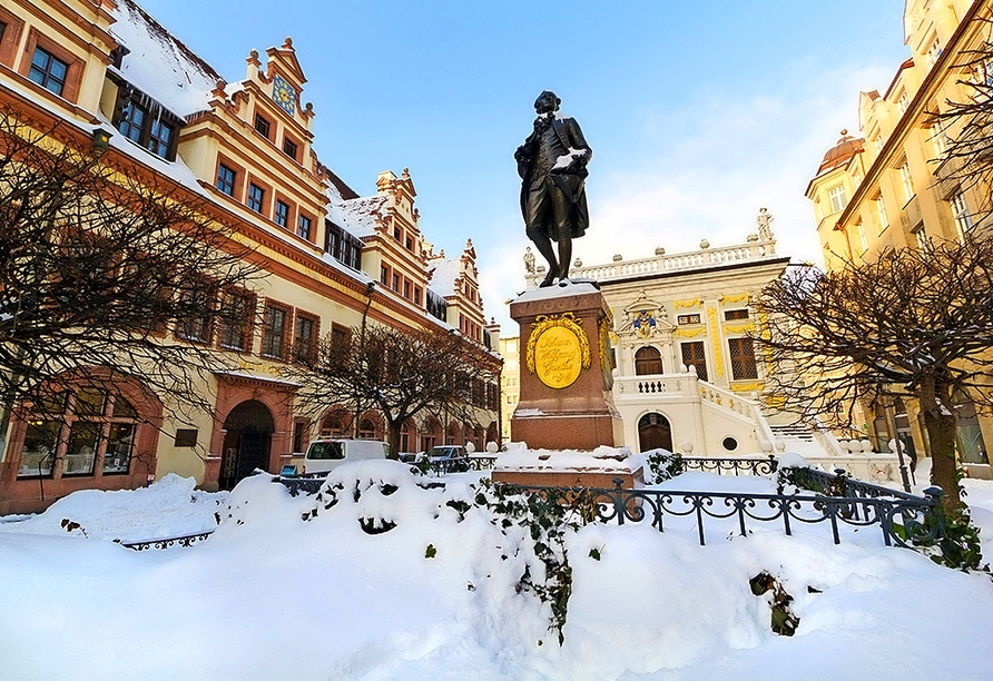Auch im Winter ist die sächsische Stadt einen Besuch wert. Schauen Sie sich zum Beispiel das Goethe-Denkmal auf dem Naschmarkt an!