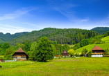 Erwandern Sie die traumhaften Naturlandschaften des Schwarzwalds.