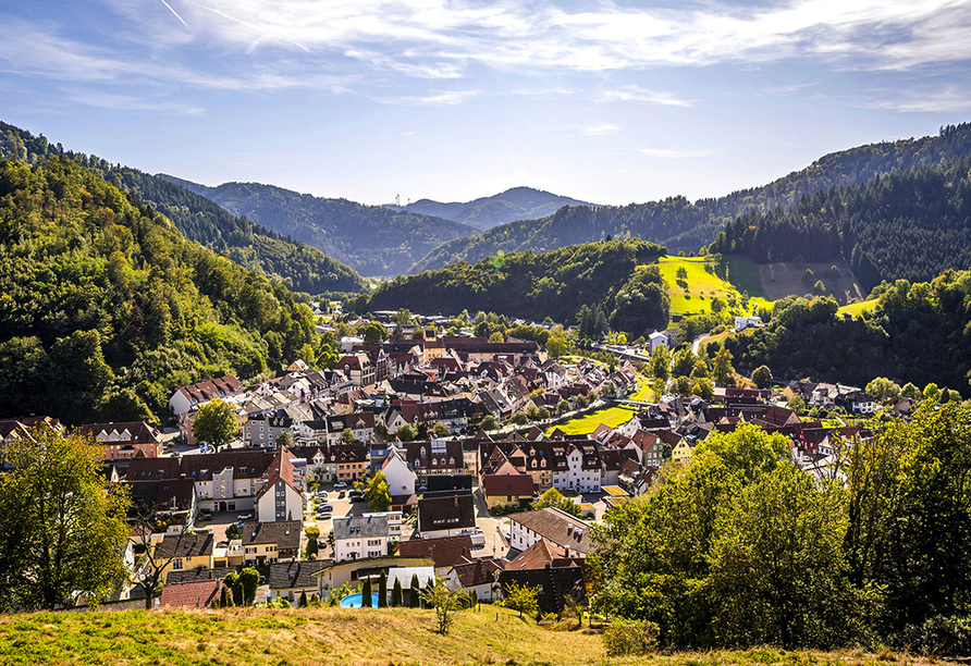 Im Mittleren Schwarzwald liegt die schöne Stadt Wolfach.
