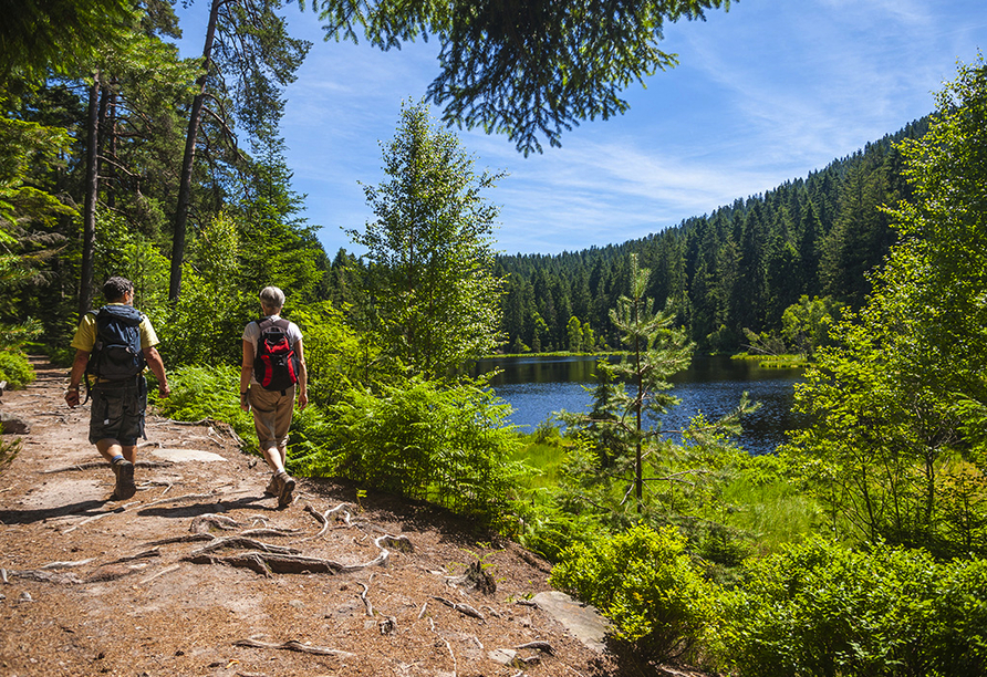Wandern im Schwarzwald ist ein besonderes Erlebnis.