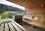 Die Panorama Sauna offenbart einen traumhaften Blick auf den Schwarzwald.