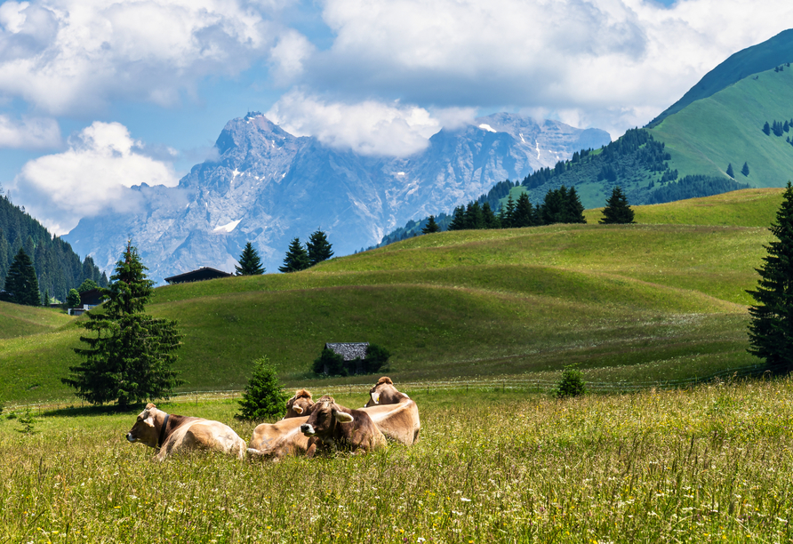 Genießen Sie die herrliche Natur Tirols! 