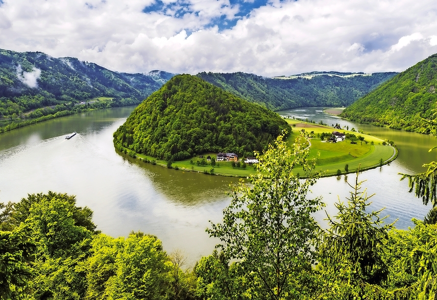Bewundern Sie eines der Highlights des herrlichen Donautals – die Schlögener Schlinge.