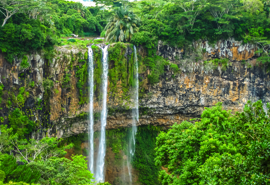 Die Chamarel Wasserfälle stürzen etwa 100 Meter in die Tiefe.