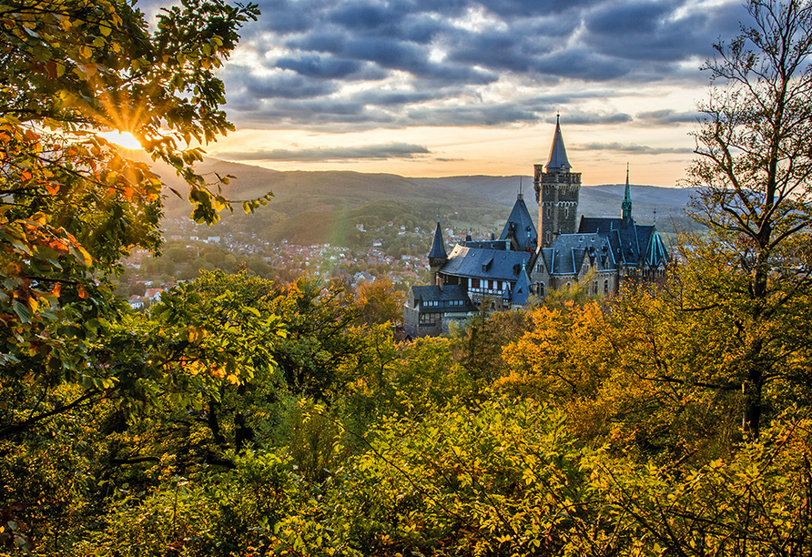 Knapp 19 km entfernt von Ihrem Urlaubshotel bietet sich Ihnen hier einer der märchenhaftesten Anblicke, die der Harz zu bieten hat: das Schloss Wernigerode.