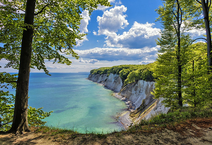 Besuchen Sie die nahegelegene Insel Rügen mit ihrem Wahrzeichen: den Kreidefelsen.