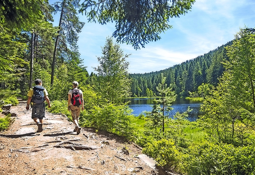 Entdecken Sie die schönsten Wanderwege im Schwarzwald!