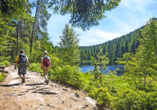 Entdecken Sie die schönsten Wanderwege im Schwarzwald!