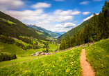 Das Ultental in Südtirol lädt zu Spaziergängen und Wanderungen ein.