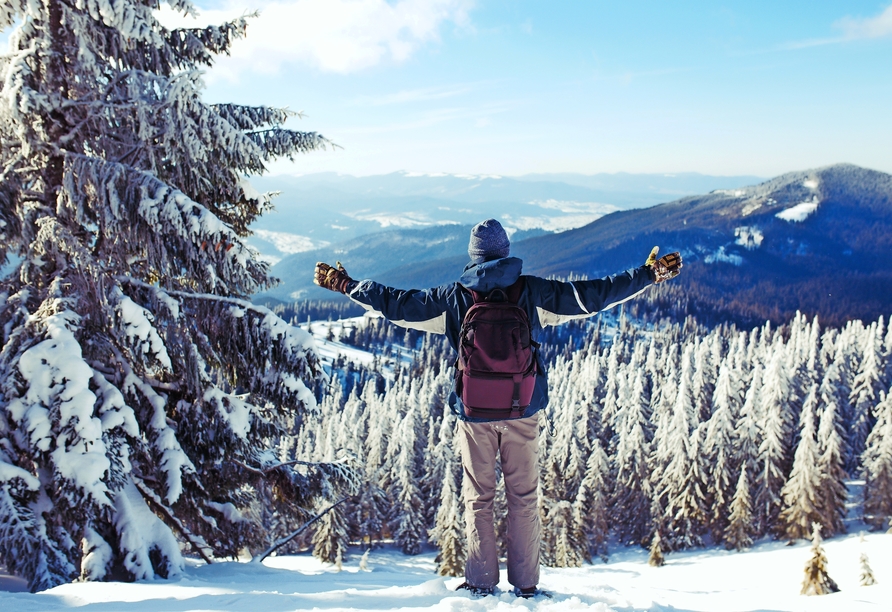 Entdecken Sie die Schweizer Bergwelt im Winter.