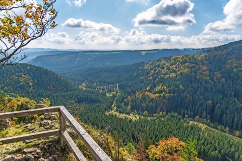 Verbringen Sie einen unvergesslichen Urlaub im Harz - wandern Sie unbedingt zur Hahnenkleeklippe!