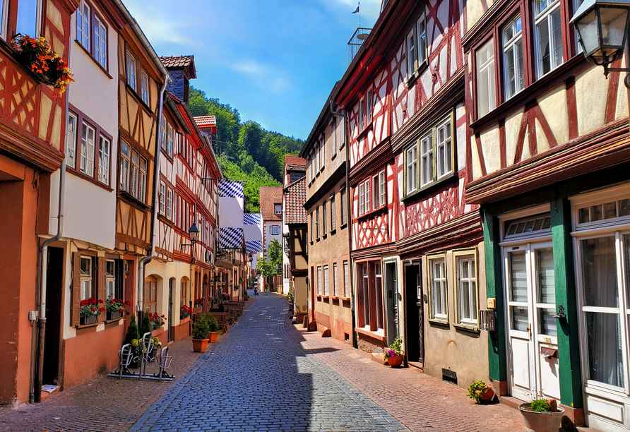Spazieren Sie durch die Altstadt von Miltenberg mit malerischen Fachwerkhäusern.