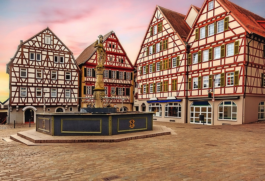 Bunte Fachwerkhäuser umgeben den Marktplatz der Stadt Leonberg.