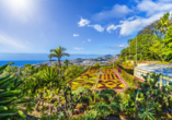 Ein kleines Naturwunder ist auch der Botanische Garten in Funchal.