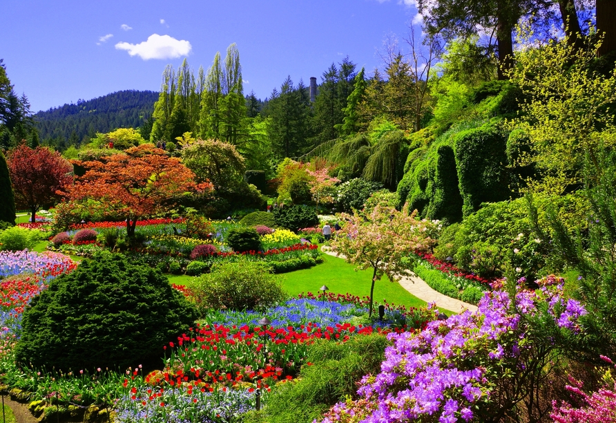 ...und besuchen an Tag 14 die farbenprächtigen Butchart Gardens.