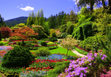 ...und besuchen an Tag 14 die farbenprächtigen Butchart Gardens.
