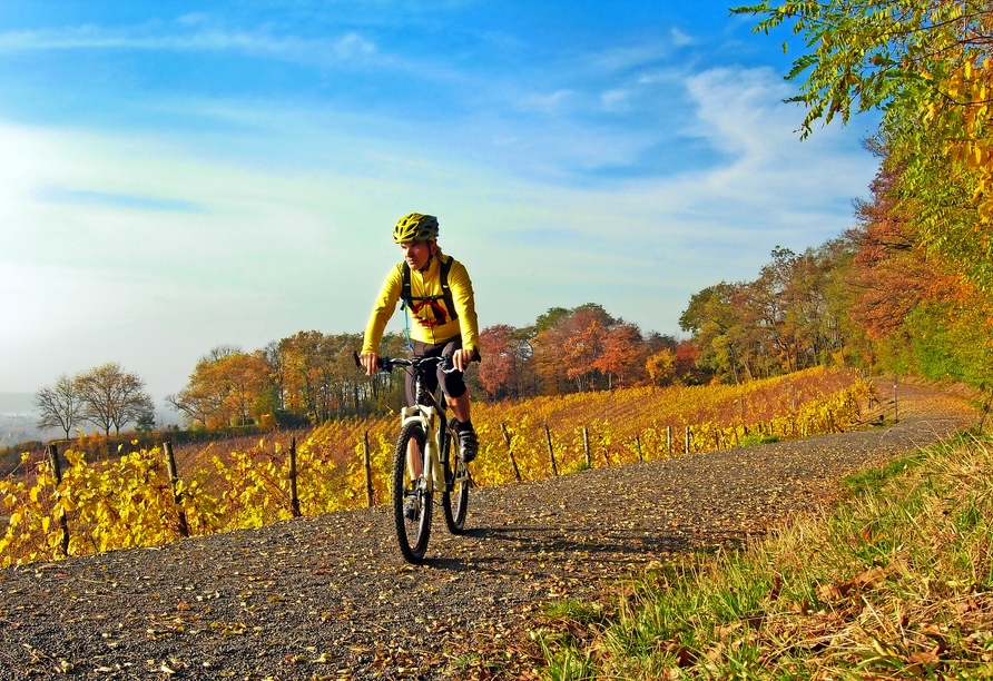 Das Ahrtal eignet sich optimal, um eine Fahrradtour entlang der Weinberge zu unternehmen.