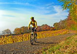 Das Ahrtal eignet sich optimal, um eine Fahrradtour entlang der Weinberge zu unternehmen.