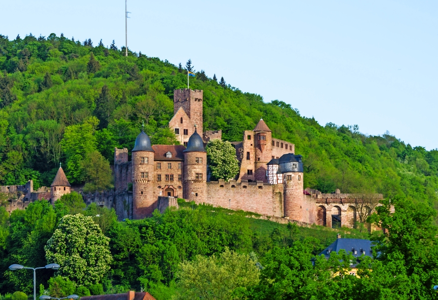Die Burg Wertheim thront über der Stadt.