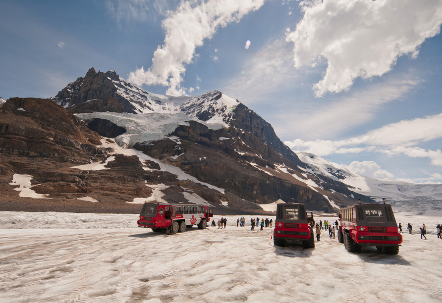 Beim optionalen Ausflugspaket Westkanada fahren Sie an Tag 10 mit dem „Snow Coach“ hinauf zum Athabasca-Gletscher...