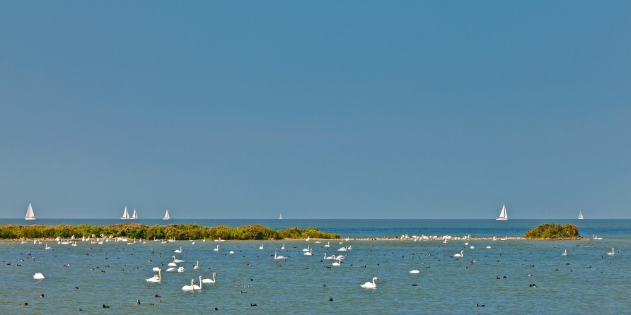 Freuen Sie sich auf Ihre Fahrt über das IJsselmeer.