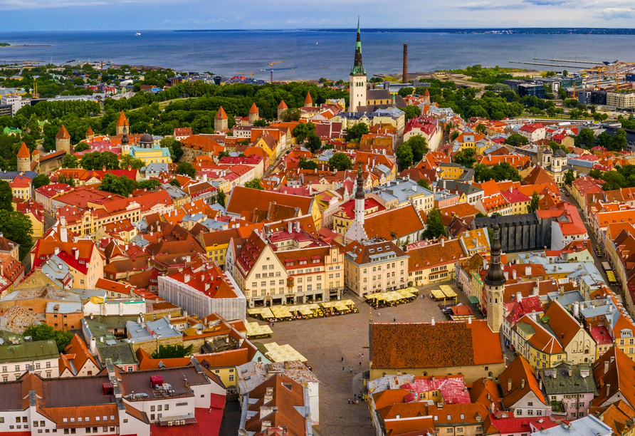 Blick über Tallinn 