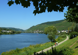 An der Mosel gibt es auch schöne Fahrradwege.