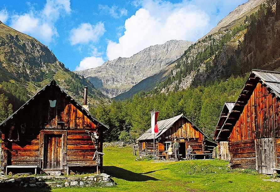 Erkunden Sie die das charmante Pitztal.