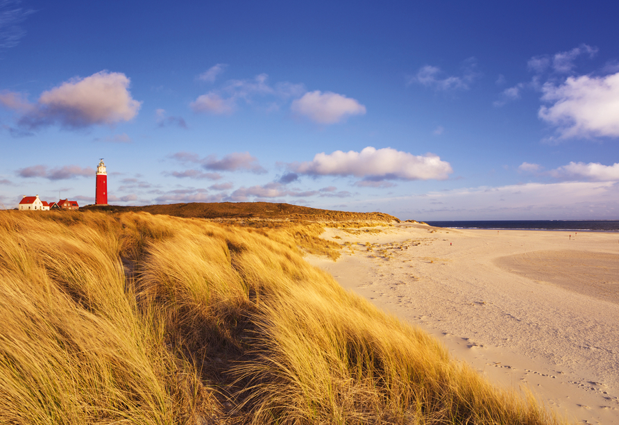 Auf Texel atmen Sie die frische Luft der Nordsee ein.