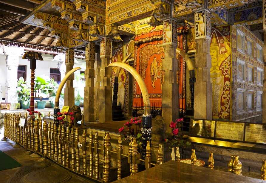 Willkommen im berühmten Zahntempel, wie der Sri Dalada Maligawa auch genannt wird.