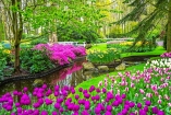 Das Blumenmeer im Keukenhof dürfen Sie sich im Frühjahr nicht entgehen lassen!