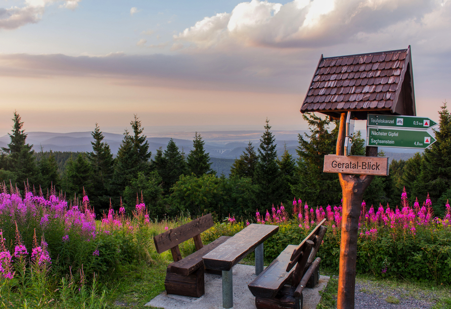 Genießen Sie den Sonnenuntergang auf dem Schneekopf im Thüringer Wald.