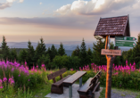 Genießen Sie den Sonnenuntergang auf dem Schneekopf im Thüringer Wald.