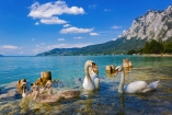Lassen Sie sich vom tiefgrünen Attersee auf Ihrer Fahrradtour durch das Salzkammergut verzaubern.